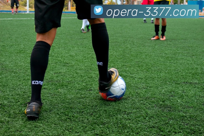 3377体育品牌故事